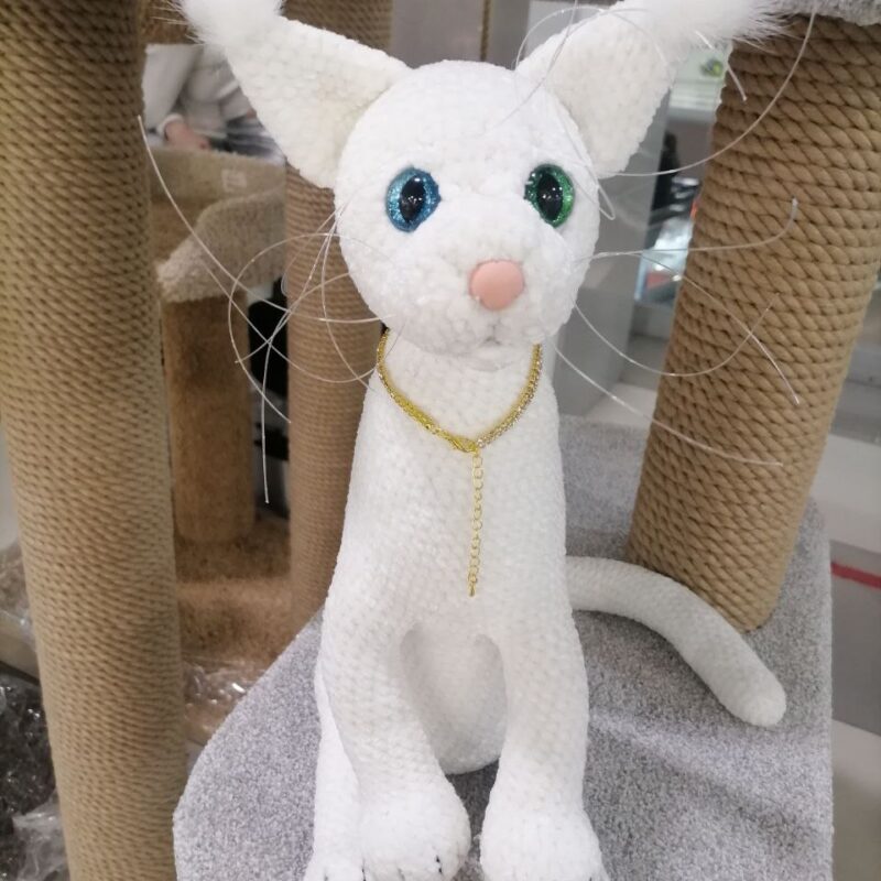 Белый кот