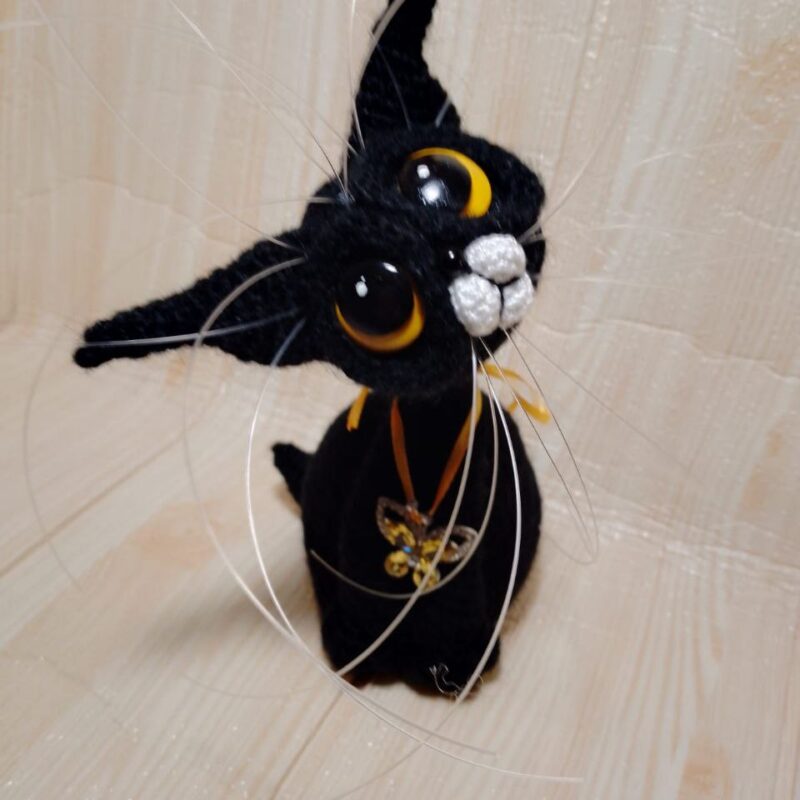 Магический кот